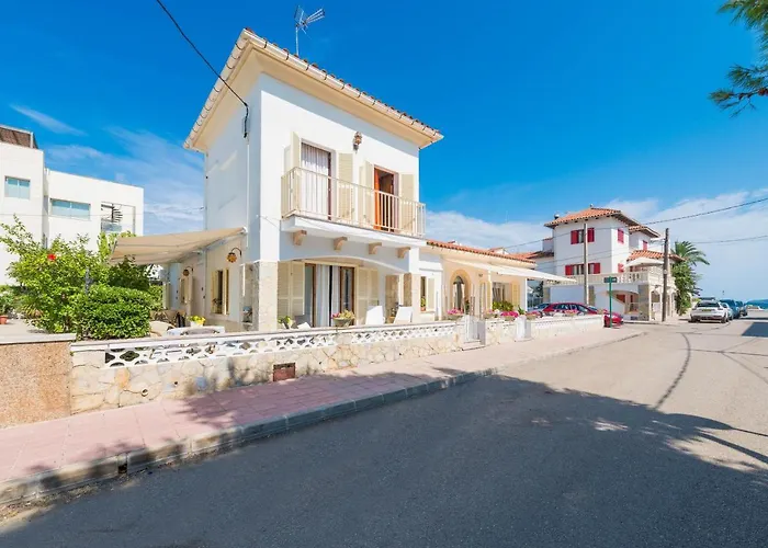 C072 Hibiscus By Mallorca Selection